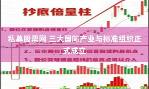 私募股票网 三大国际产业与标准组织正式成立